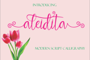 Aleidita Font: A Modern Calligraphy Script for Creative Branding