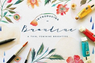 Brandine: A Feminine Script Typeface for Elegant Branding