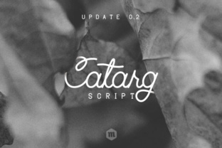 Catarg: A Script Font for Authentic Digital Branding