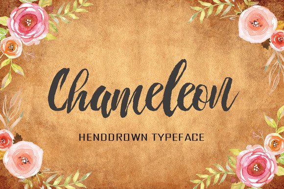 Chameleon Typeface Review for Elegant Branding