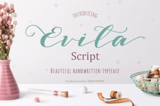 Evita Font: A Playful Script for Web Design