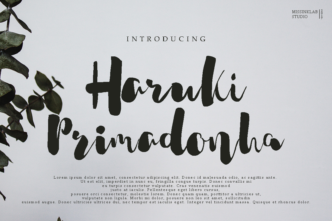 Haruki Primadonha: A Modern Script for Premium Brand Identity