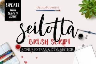 Seilotta Font: A Beautiful Brush Script for Designers
