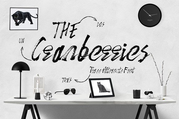 The Cranberries: A Script Handwritten Typeface for Editorial Design